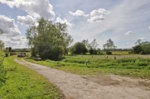 North Meadow Nature Reserve- click for photo gallery